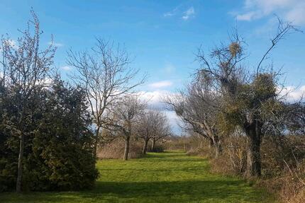 Garten Streuobstwiese - 100,00&nbsp;EUR Kaltmiete, ca.&nbsp; 0,00&nbsp;m&sup2; in Mörfelden-Walldorf (PLZ: 64546)