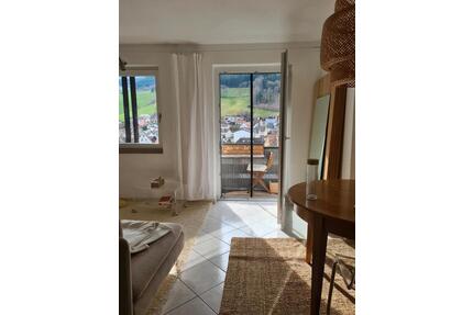 1-Zimmer-Wohnung mit Ausblick über Oberried und die Berge