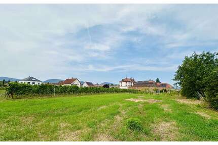 Wohnung zum Kaufen in Edesheim 799.000,00 € 170 m²