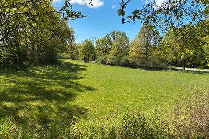 Grünland zu verpachten - 250,00&nbsp;EUR Kaltmiete, ca.&nbsp; 0,00&nbsp;m&sup2; in Fargau-Pratjau (PLZ: 24256)