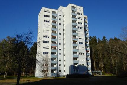 4-Zi.-Wohnung mit Balkon und Bergblick in Wangen-Waltersbühl - Wangen im Allgäu