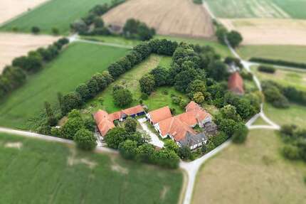 Haus zum Kaufen in Borgholzhausen 986.000,00 € 860.67 m²