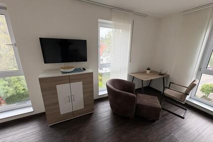 Ab 01.05. schönes voll möbliertes Apartment Weinsberg - Heilbronn Kernstadt