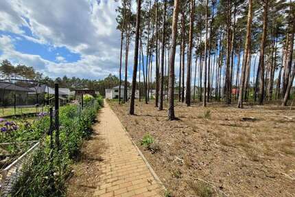 Grundstück zu verkaufen in Borkwalde 230.000,00 € 1081 m²