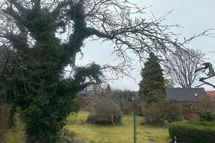 Grundstück zu verkaufen in Reinbek 370.000,00 € 616 m²