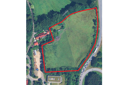 Weidelandfäche im Ostseebad Scharbeutz