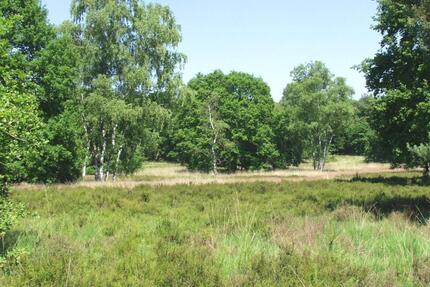 Acker 0.9 ha Wiese 0.5 ha Erding Inning am Holz 13990 m²