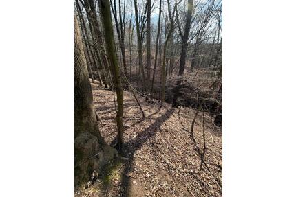 Erholungswald mit kleinem Fluss in Cossebaude zu verpachten - Dresden