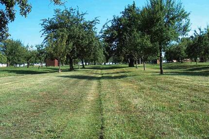 Wiese Baumwiese Acker - 100,00&nbsp;EUR Kaltmiete, ca.&nbsp; 100,00&nbsp;m&sup2; in Horb am Neckar (PLZ: 72160)