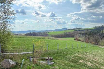 Haus zum Kaufen in Enchenreuth 229.000,00 € 128 m²