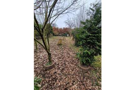 Baugrundstück in HH- Billstedt 600 m² mit Altbestand - Hamburg