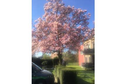 Altersgerechtes Wohnen im Herzen von Kaarst