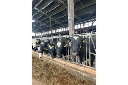 Schöne, bezahlbare 4-Zimmer Whg. in Theresienhof Plön