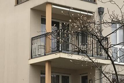 Attraktive 3 Zimmer-Wohnung mit EBK und Balkon - Lorsch