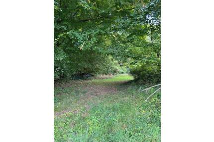 Traumgrundstück - 165.000,00&nbsp;EUR Kaufpreis, ca.&nbsp; 0,00&nbsp;m&sup2; in Gaggenau (PLZ: 76571) Winkel