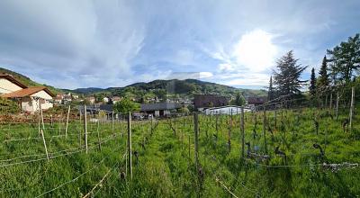 AUSSICHT & LEBENSQUALITÄT - ca.&nbsp; 770,00&nbsp;m&sup2; in Bühlertal (PLZ: 77830)