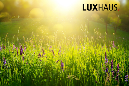 Grundstück zu verkaufen in Bad Dürkheim 256.000,00 € 624 m²