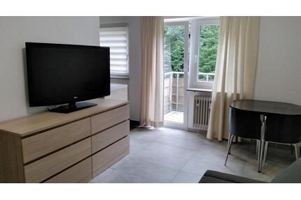 1 Zimmer Apartment vollmöbliert mit Extras und Schwimmbad - Baiersbronn