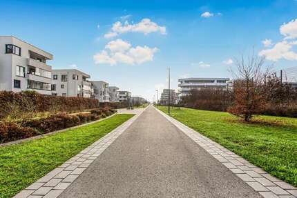 Wohnung zum Kaufen in Frankfurt am Main 519.000,00 € 80 m²