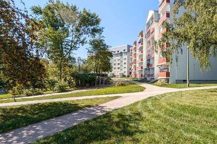 Wohnung zum Mieten in Freiberg 318,00 € 42.34 m²