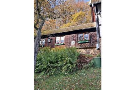 Wohnung Apartment - 330,00&nbsp;EUR Kaltmiete, in Heimbach (PLZ: 52396)