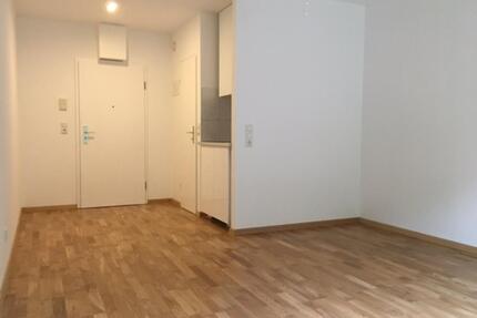 Hochwertiges 1-Zimmer-Apartment in Mainz möbliert