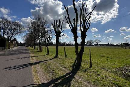 Grundstück in Jerchel 80.000,00 € 5000 m²