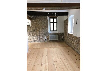 Außergewöhnliches Appartement in Worms-Pfeddersheim - Dorn-Dürkheim