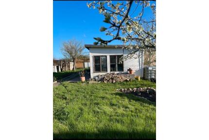 Großer Kleingarten in der Satower Straße - Papendorf