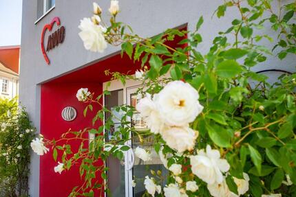 Ein-Raumwohnung im Betreuten Wohnen im AWO Haus Grimmen