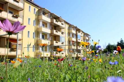 Wohnung zum Mieten in Reichenbach 210,00 € 42 m²