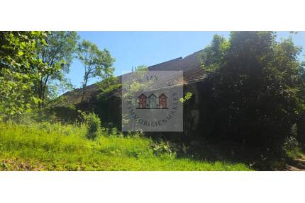 Traumhaftes Grundstück für die ganze Familie - Altglietzen / Sonnenburg