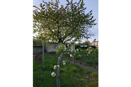 Kleingarten Rostock-Südstadt - 2.900,00&nbsp;EUR Kaltmiete, ca.&nbsp; 0,00&nbsp;m&sup2; in Papendorf (PLZ: 18059)