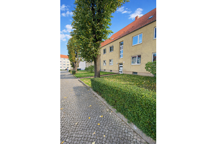 Wohnung zum Mieten in Magdeburg 565,00 € 65.34 m²