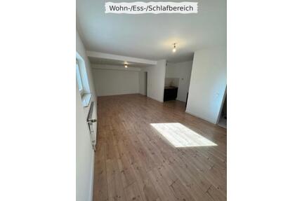 1-Zimmer-Wohnung - 419,00&nbsp;EUR Kaltmiete, ca.&nbsp; 45,00&nbsp;m&sup2; in Datzeroth (PLZ: 56589)