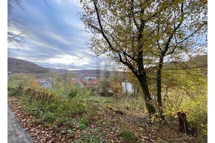 IHR RÜCKZUGSORT: 960 M² INMITTEN DER NATUR - Hannoversch Münden