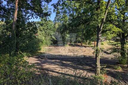 Grundstück zu verkaufen in Gifhorn Winkel 290.000,00 € 2200 m² - Gifhorn / Winkel