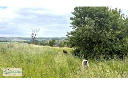 Grundstück zu verkaufen in Kirf 239.800,00 € 1038 m²