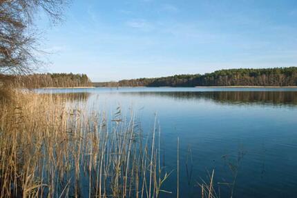 Wassergrundstück mit Steg,direkt am See,Berlin Anbindg.-Wittstock - Wittstock/Dosse
