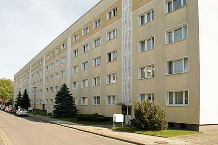 Wohnung zum Mieten in Dessau-Roßlau 250,00 € 24.39 m²