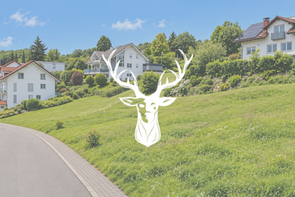 Grundstück zu verkaufen in Waldshut-Tiengen 350.000,00 € 623 m²