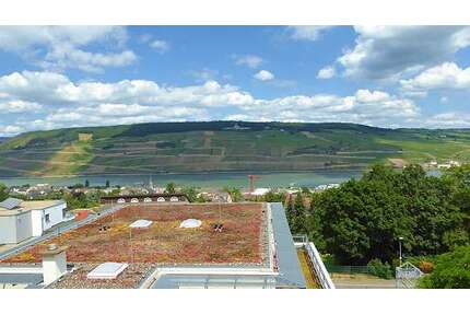 Wohnung zum Mieten in Bingen 550,00 € 61.55 m²