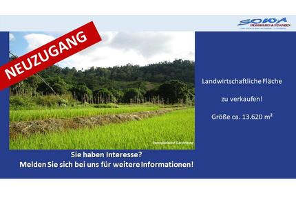 Großzügige Landwirtschaftsfläche in Untermaxfeld - Ein Objekt von SOWA Immobilien & Finanzen Ihrem Immobilienprofi vor Ort - Königsmoos