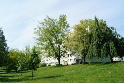 2-Raum-Wohnung in Pößneck-Ost - 305,00&nbsp;EUR Kaltmiete, ca.&nbsp; 47,08&nbsp;m&sup2; in Pößneck (PLZ: 07381)
