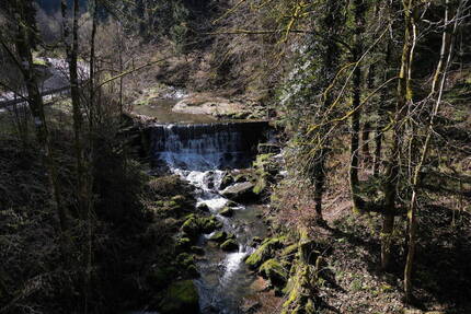 Ehemalige Mühle, Alleinlage, großes Grundstück, renovierungsbedürftig, von Privat - Alpirsbach Rötenbach