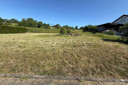 Grundstück zu verkaufen in Notzingen 850.000,00 € 1247 m²