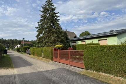 Haus zum Kaufen in Torgelow 199.000,00 € 158 m²