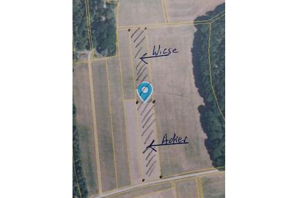 Landwirtschaftliches Grundstück - Weißenburg in Bayern