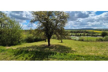 Streuobstwiese, Grünland, Wiese, Baum Grundstück, Freizeit - Hardthausen am Kocher
