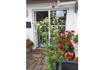 Reihenhaus Innenlage von Tangermünde